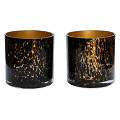 G91-0201-2-66-gold-cheetah-0