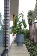 A10-0360-1-03-grey-1