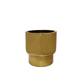 A10-0321-1-95-gold-0