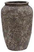 P65-0830-1-34-oceanic-coral-0