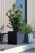 A10-2802-1-01-black-1