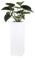 A50-0100-1-01-white-2