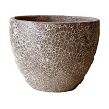 P65-0822-1-34-oceanic-coral-0