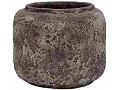 P65-0835-1-34-oceanic-coral-0