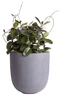 A10-0130-2-03-grey-2