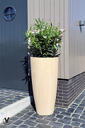 A22-0202-1-09-beige-2