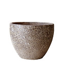 P65-0822-1-34-oceanic-coral-0