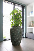 P65-0830-1-36-relic-jade-1