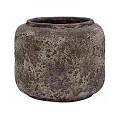 P65-0835-1-34-oceanic-coral-0