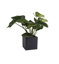 A10-2801-1-01-black-2