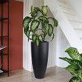 A10-2201-1-01-black-1