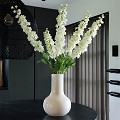 G91-0621-1-91-ivory-1