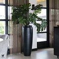 A10-0162-1-01-black-1