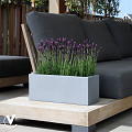 A10-3550-2-03-grey-1
