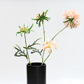 S10-0115-1-01-black-4