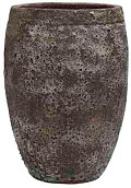 P65-0845-1-34-oceanic-coral-0