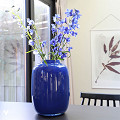 G91-0410-1-70-blue-1