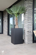 A10-1280-1-01-black-1