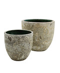 P65-0805-2-32-relic-beige-0
