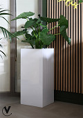 A50-0250-1-01-white-1