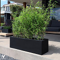 A10-3510-1-01-black-1