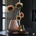 S50-0510-1-29-walnut-1