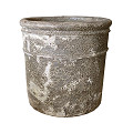 P65-0851-1-34-oceanic-coral-0