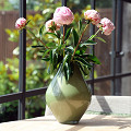 G91-0125-1-56-Pastel-green-1
